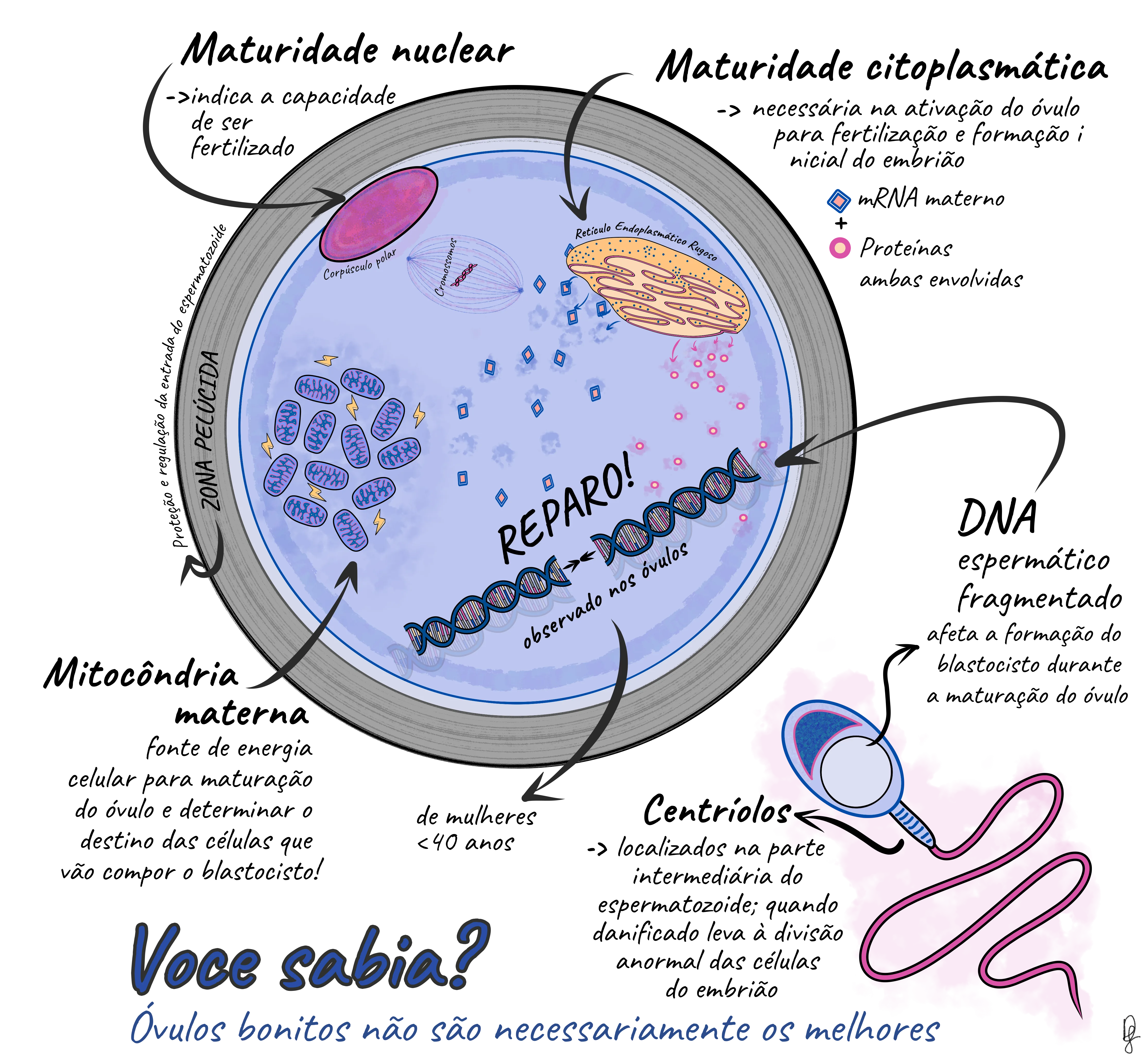 Imagens vetoriais de Transcrição gênica | DepositPhotos, image size:4459x4096