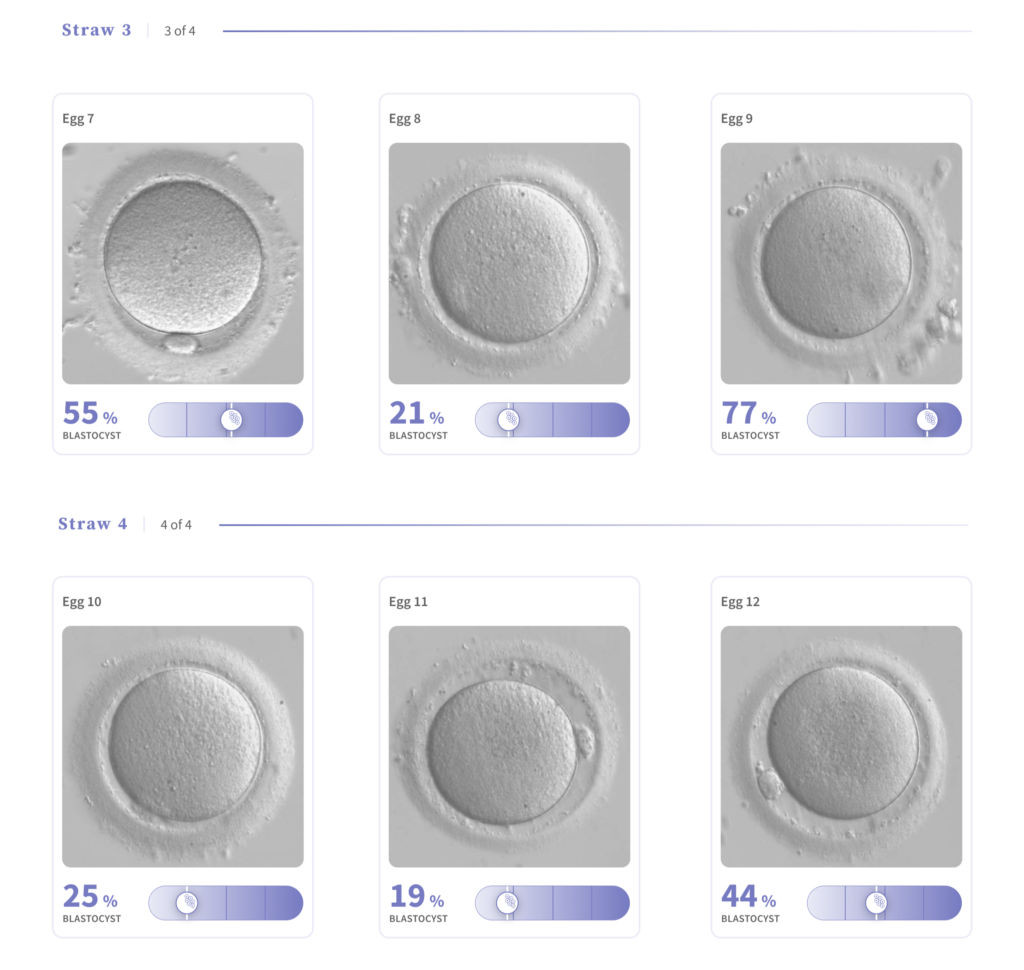Patient Use Case: Using VIOLET™ to Manage Expectations and Guide Cycle ...